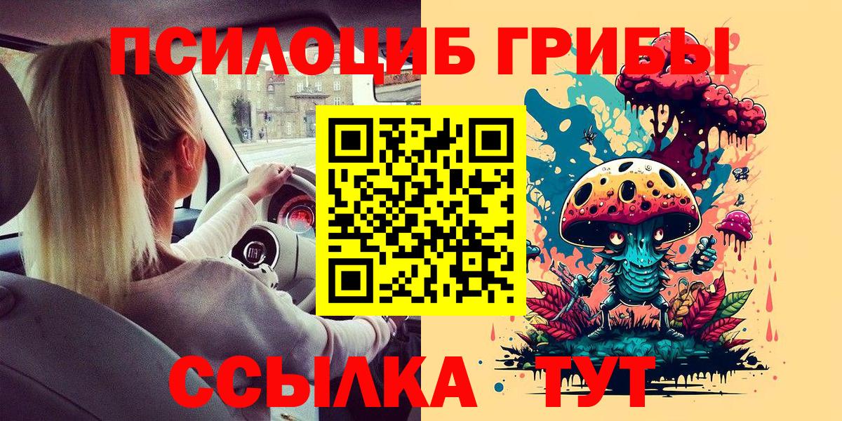 Псилоцибиновые грибы GOLDEN TEACHER  Вход с VPN  Ульяновск 